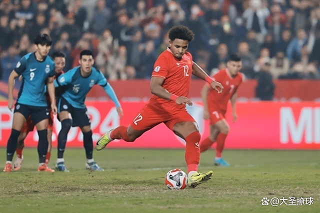 关于新加坡队主场失利，球员面临批评的信息