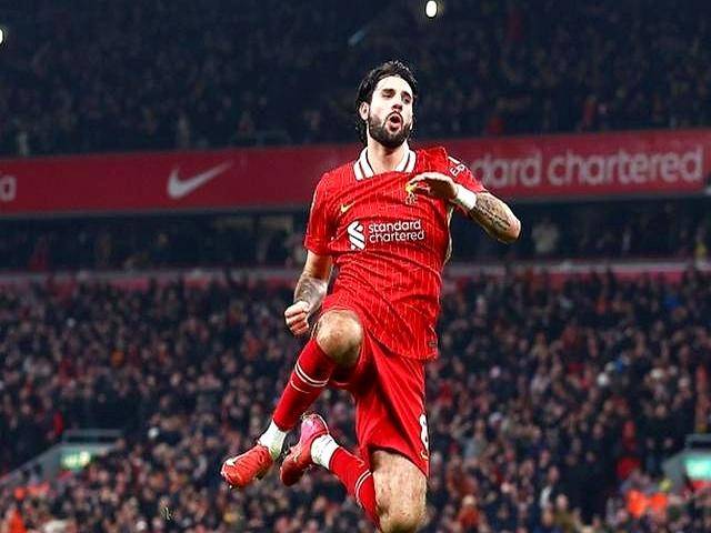 包含利物浦门将受伤在家养伤，缺席多场联赛的词条